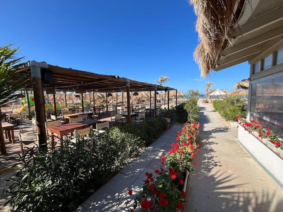 3 Suite Esclusive Con Balcone In Centro Citta, Mare A 450M, Prenota Ora! 佩斯卡拉 外观 照片